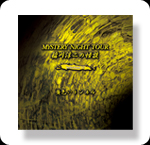 CD 『黄色いトンネル』