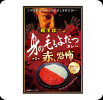 稲川淳二の身の毛もよだつカレー2<赤い恐怖>