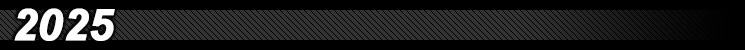 2025年